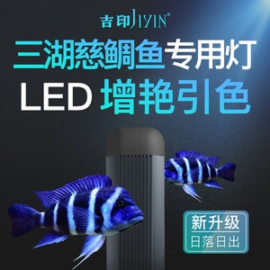 吉印刀锋三湖慈鲷鱼灯鱼缸灯专业引色灯照明高显色LED防水慈鲷灯