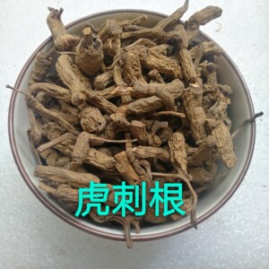 野生中草药 老虎刺中药材虎刺根 老鼠刺 绣花针 白凤珠500克 干品