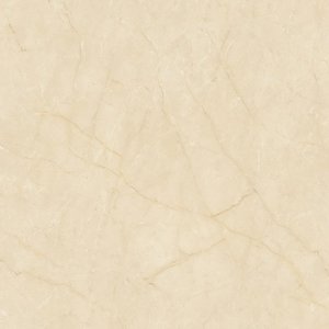 宏陶客厅瓷砖陶瓷tpg80150优等品正品广东地砖800*800抛釉砖