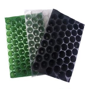 玉米育苗盘蔬菜瓜果育苗塑料pvc圆孔穴盘100孔辣椒哈密瓜盘专用