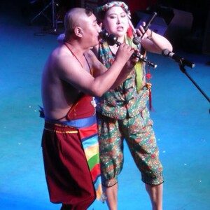 东北地方戏剧二人转 风趣 粗口狂 搞笑幽默小品戏90集dvd碟片光盘