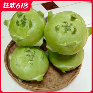 云南省新鲜蔬菜苤蓝水果大头菜疙瘩菜芥菜头泡菜撇了现摘现发包邮