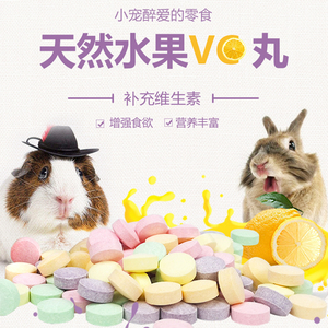 天然水果VC丸补充维生素C豚鼠荷兰猪天竺鼠兔子补充营养保护肠道