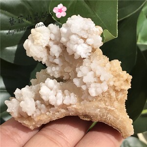 天然钟乳石结晶石摆件 矿物晶体标本 小款 一物一图