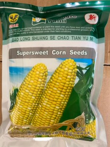 云南鲜吃甜玉米种子902玉米种子先正达双色先蜜玉米种子库普拉902
