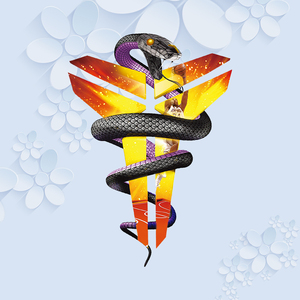 2021新款黑曼巴科比图案标志热转印t恤卫衣服装饰贴耐水洗烫画贴