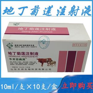 兽药牛羊百病消兽用地丁菊莲注射液宫炎净猪牛羊子宫内膜炎