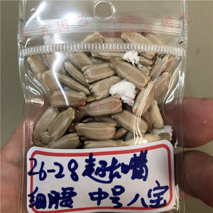 四季中号八宝葫芦种子籽长嘴细腰型苗秧瓢巨型特超大小鹤首油改良