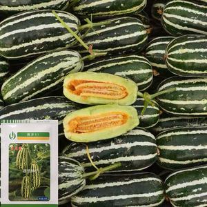 博洋91薄皮甜瓜种籽 黄绿花皮洋香瓜口感酥脆抗病高产羊角蜜种子