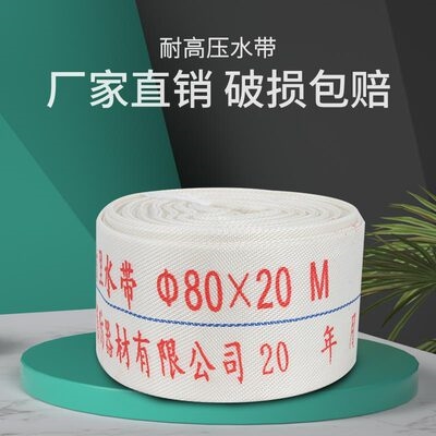 上海鲸鱼水带