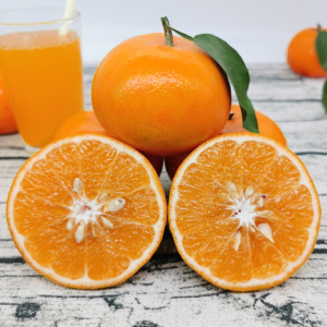 云南大理沃柑大果高山皮薄爆汁桔子芦柑现摘现发新鲜水果10斤包邮