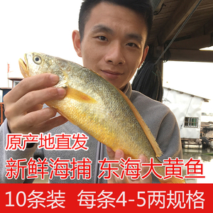 宁德大黄鱼4-5两10条装黄花鱼新鲜黄鱼鲜活冷冻鱼水产黄瓜鱼整箱