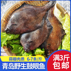 青岛鼓眼鱼多宝鱼海鲜鲜活鲽鱼冷冻比目鱼扁口鱼八宝鱼左口鱼 1斤