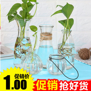 透明玻璃瓶水培植物容器绿萝养花小花瓶干花插花客厅摆件装饰花盆