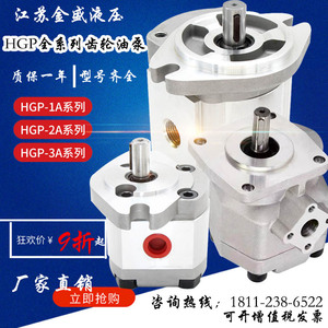 HGP-1A-F4R HGP-1A-F6R HGP-2A-F12R HGP-3A-F19R电机配高压油泵