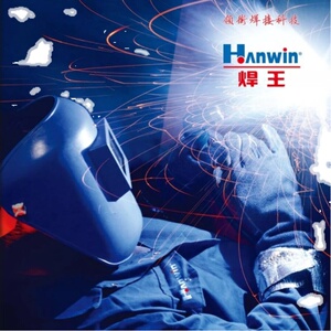正品焊王ws-200/250c氩弧焊机电焊机两用220v家用型直销正品包邮