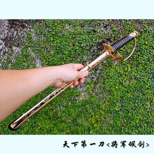 家里的小小车库淘宝阅兵三军仪仗队模型海陆空旗手合金玩具摆件军事