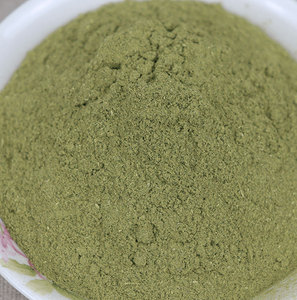 云南红河 灯盏花粉 新货 灯盏细辛粉 泡茶泡水 500g包邮