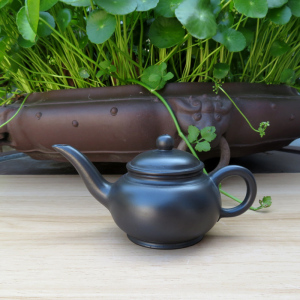 宜兴紫砂茶壶★蜀宝斋★大周手拉▲薄胚胎▲长嘴壶 容量150cc包邮