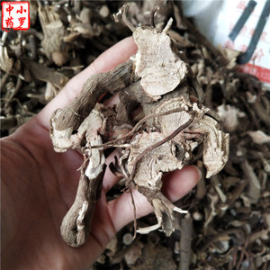 500g包邮娘伞树 马胎根矮脚浪伞铁凉伞小凉伞大罗伞根部 纯根