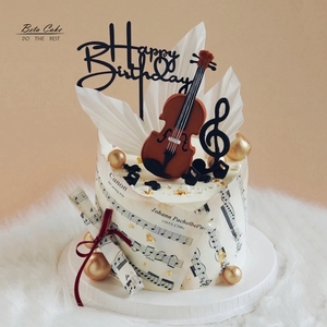 高雅翻糖生日蛋糕定制女生卡通韩式网红小红书ins风小提琴蛋糕