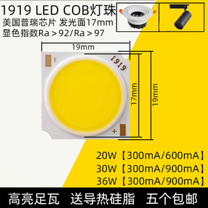 LED生鲜轨道灯芯片COB天花射灯维修配件1919光源板红蓝绿20W30W36