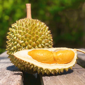 广西巴掌托曼尼榴莲新鲜金枕头猫山王青尼榴莲当季水果非泰国榴莲