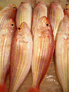 购满5斤包邮 东海野生新鲜海鲜金丝鱼金线鱼红衫红三鱼海鱼500g