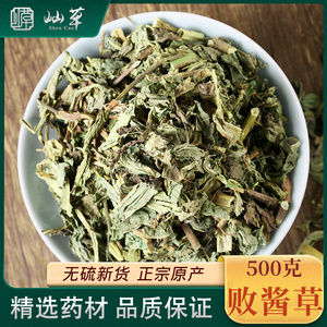 败酱草500g克 马草 苦菜 野黄花 非败酱草茶中药材