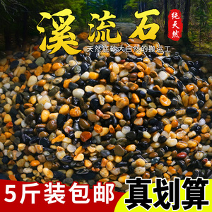 鱼缸底砂造景沙石摆件铺底天然生态溪流石乌龟缸石火山石专用石头