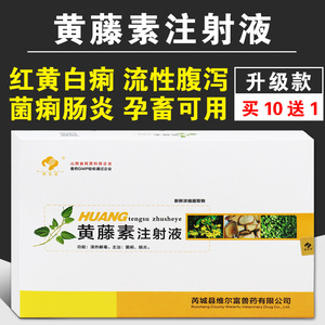 黄腾素注射液兽用兽药仔小猪拉稀药止痢肠猪牛羊拉稀黄藤素注射液