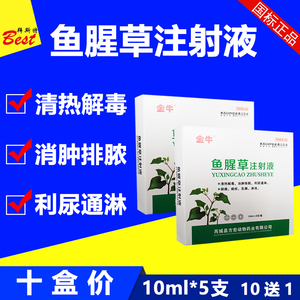 鱼腥草注射液兽药兽用猪牛羊犬猫益母产后康消炎针剂通淋消肿排脓
