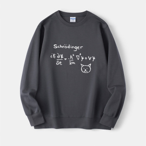 薛定谔的猫物理量子力学公式周边卫衣圆领新款衣服套头男女上衣宽