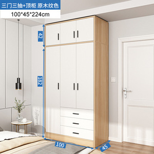 80/100/120cm长双门衣柜家用卧室小衣柜占地挂衣式小衣柜女孩卧室