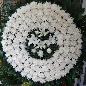 北京上海殡仪馆扫墓菊花花圈葬礼祭祀鲜花速递花蓝吊唁追悼会大兴