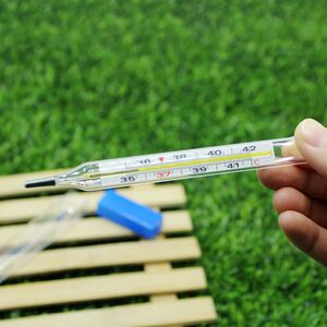 数字水银体温计