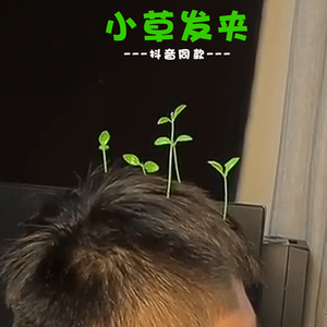 小草装饰发卡发夹头盔小发卡头上长草绿豆芽头顶卖萌青草搞怪抖音