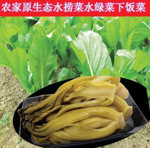 韶关农家水捞菜酸菜水绿菜潮芥泡菜下饭开胃菜5斤两份多地包邮