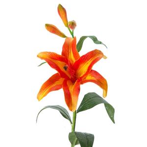 萱草花假花三八妇女节花卉仿真干花束礼物高端幼儿园表演舞台道具