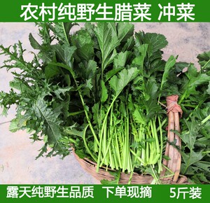 湖北宜昌野腊菜冲菜野菜腌菜原料菜苔新鲜蔬菜现摘5斤
