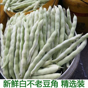 湖北新鲜蔬菜白豆角芸豆四季豆老来少豆角白不老眉豆白扁豆5斤