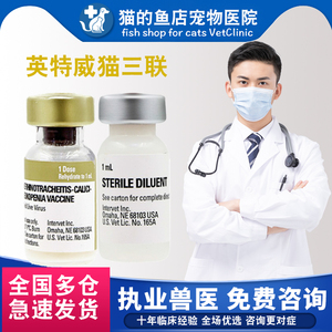 正品荷兰英特威猫三联 疫苗/狂犬疫苗猫疫苗猫育苗瘟鼻支肺炎包邮