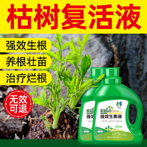 大树生根液枯树再生复活液树木移栽壮苗剂植物通用型营养液激活液