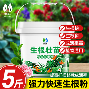 生根粉植物通用生根剂壮苗剂强力生根液果树专用月季多肉植物扦插