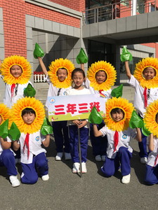 向日葵露脸头套太阳花脸套帽子儿童演出头饰花运动会入场方队道具