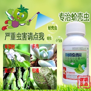 多肉专用杀虫剂