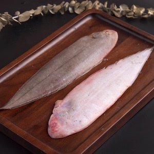 海趣味舟山东海野生海捕舌鳎鱼踏板鱼目鱼龙力鳎目海秃塔西鱼1斤