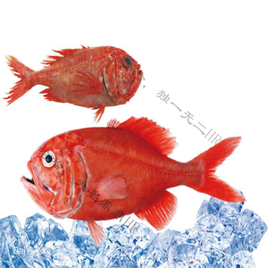 胄胸鲷油 鱼油 新西兰红鱼油 diy护肤品原料 hr自制护肤