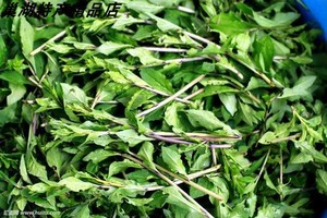 新鲜野生枸杞头枸杞尖枸杞芽枸芽子狗丁芽3斤36元包邮现货现采摘