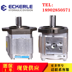 德国注塑机伺服油泵艾可勒油泵齿轮液压高压泵ECKE\EIPC35PA23-10